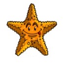 Starfish/